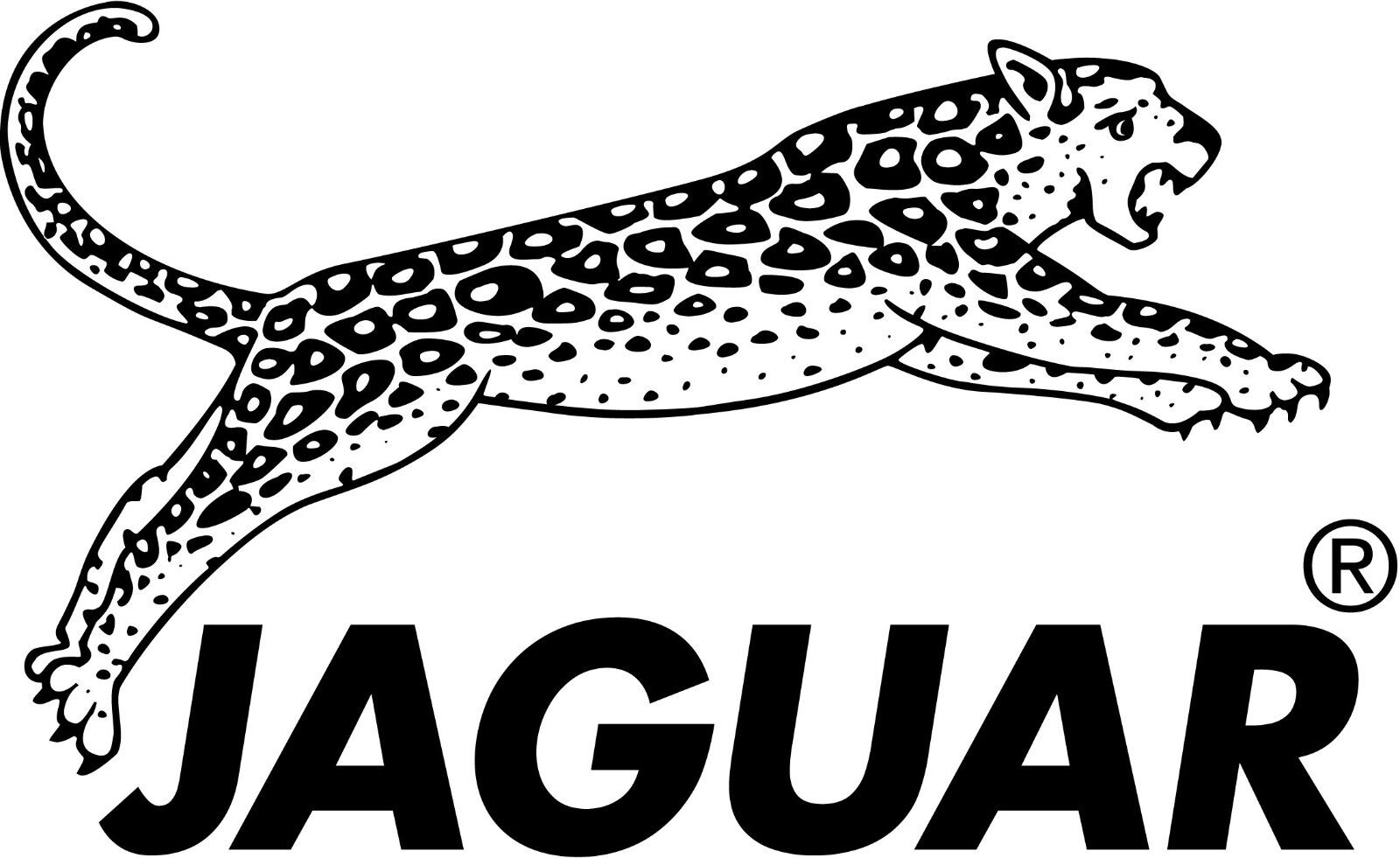  JAGUAR